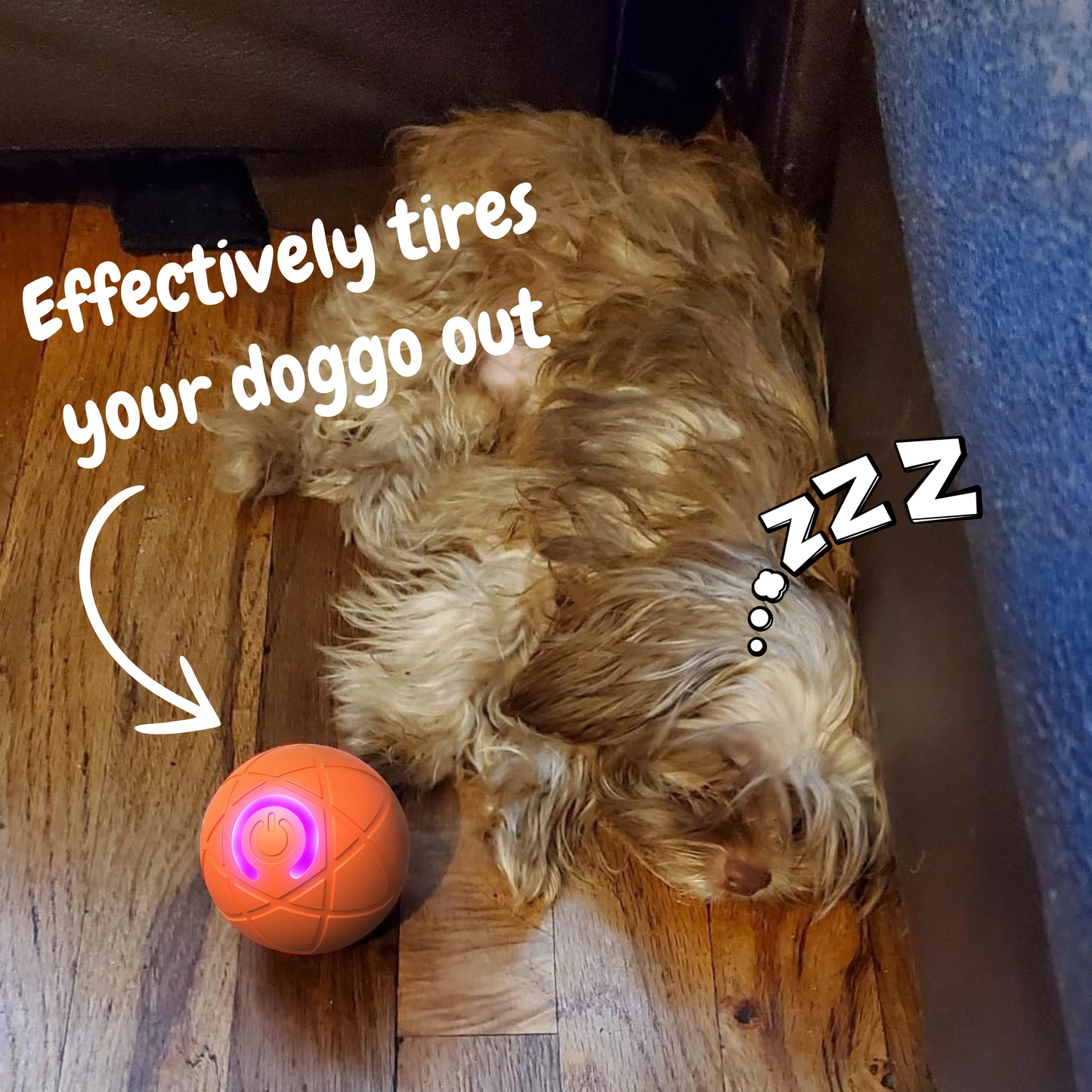 2025 New Release -50% Off - Pet Bounce Ball for Cats🐱& Dogs🐶