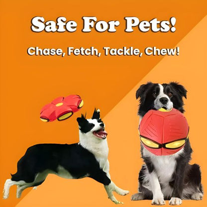 2-in-1 Doggy Disc Ball – Interactive Frisbee & Chase Ball Toy🐾