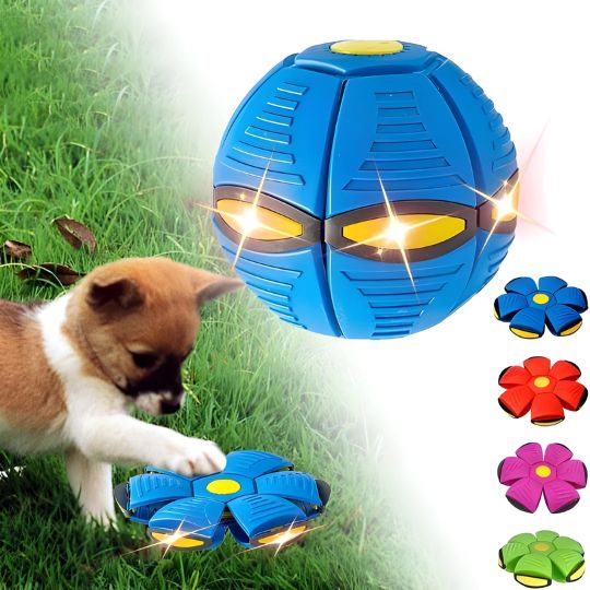 2-in-1 Doggy Disc Ball – Interactive Frisbee & Chase Ball Toy🐾