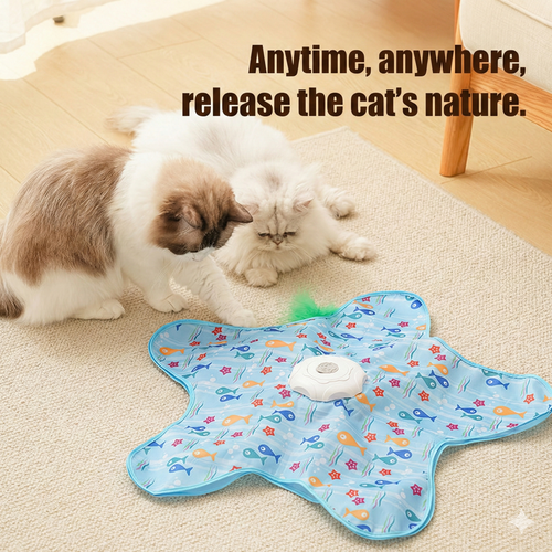 2 in 1 Hide and Seek Game Cat Toy