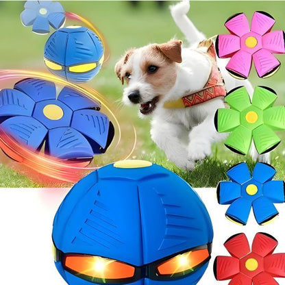 2-in-1 Doggy Disc Ball – Interactive Frisbee & Chase Ball Toy🐾