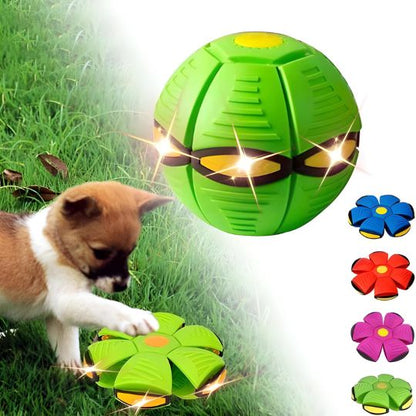 2-in-1 Doggy Disc Ball – Interactive Frisbee & Chase Ball Toy🐾